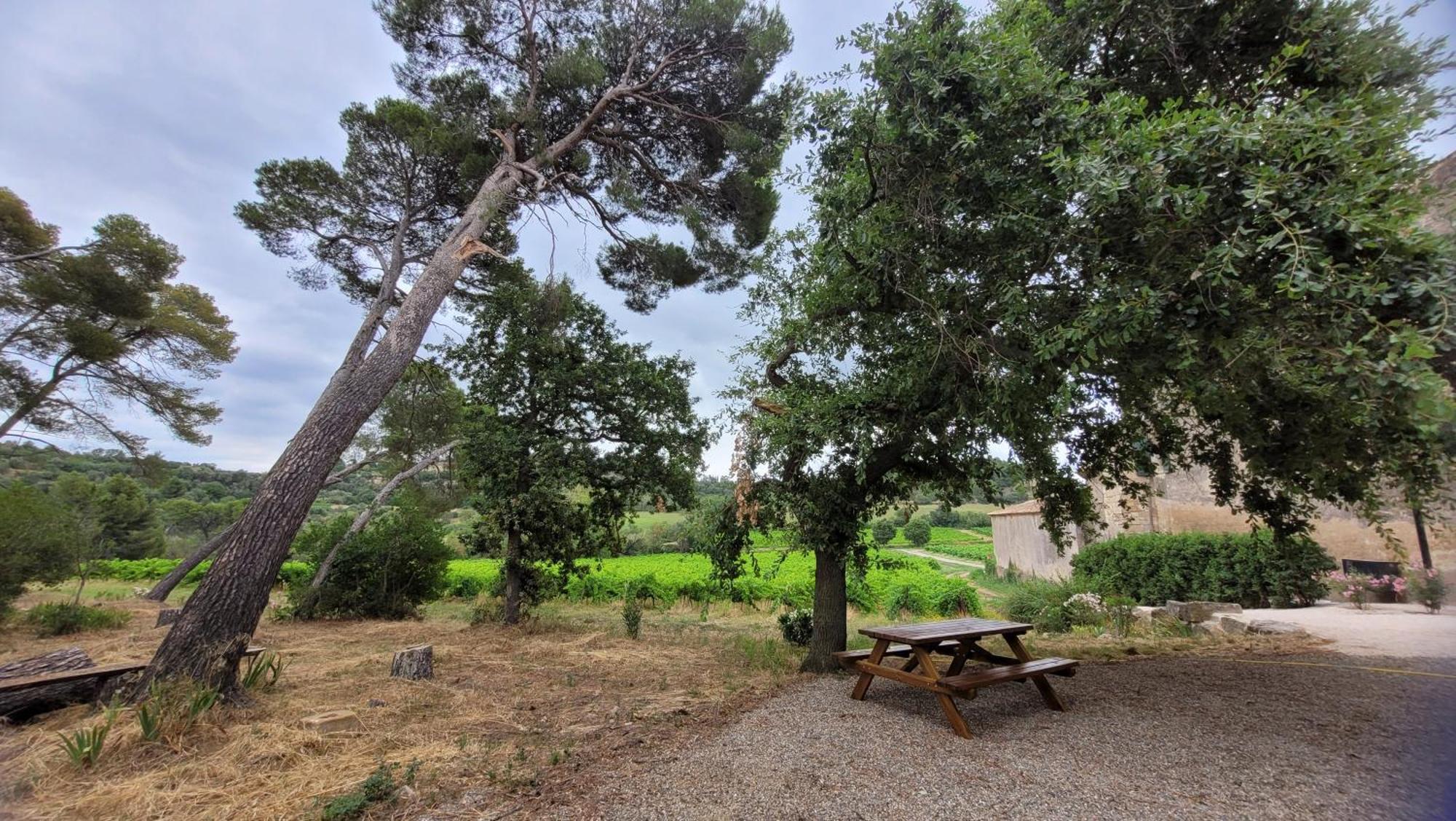 La Pinede, Logement Privatif Au Chateau Aumes Exteriér fotografie